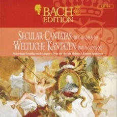 Secular Cantatas BWV 36c, 209 & 203