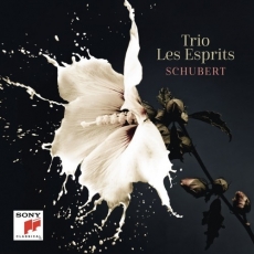 Schubert - Trio Les Esprits