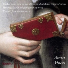 Bach - Cantatas - Amici Voices