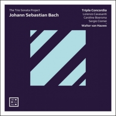 Walter van Hauwe - Bach - The Trio Sonata Project