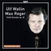 Reger - Violin Sonatas, Op. 42 - Ulf Wallin