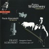 Schubert - Arpeggione Sonate; 3 Sonatinas, Op. 137 - Pieter Wispelwey