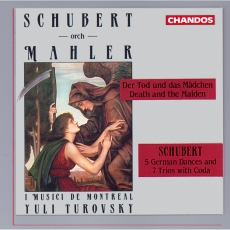 Schubert - Death and Maiden (Turovsky)