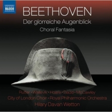 Beethoven - Der glorreiche Augenblick - Hilary Davan Wetton