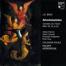 Bach - Cantatas BWV 36, 61, 62 - Philippe Herreweghe