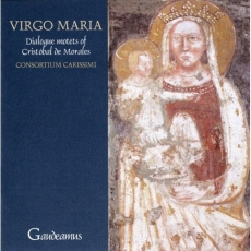 Morales - Virgo Maria - Consortium Carissimi