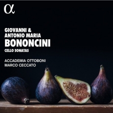 Bononcini - Cello Sonatas - Accademia Ottoboni, Marco Ceccato