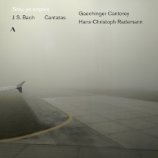 Gaechinger Cantorey & Hans-Christoph Rademann - J.S. Bach - Cantatas