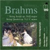 Brahms - Sextet op. 36, Quartet op. 51,1 - Leipzig Quartet