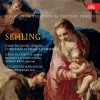 Sehling - Christmas in Prague Cathedral - Collegium Marianum