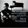 Schubert - Piano Sonatas D840 and D850 - Wosner