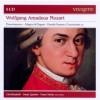 Mozart - Divertimentos, Duos, String Trio, Adagios and Fugues, Grande Sestetto Concertante - L'Archibudelli
