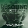 Resound Beethoven Volume 8 - Martin Haselbock