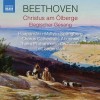 Beethoven - Christus am Olberge, Elegischer Gesang - Leif Segerstam