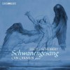 Liszt - Schwanengesang - Can Cakmur