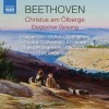 Beethoven - Christus am Olberge - Leif Segerstam