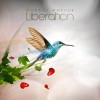 Marcus Warner - Liberation