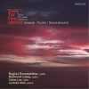 Brandstatter - A. Dvorak, R. Fuchs, D. Shostakovich - Solo for two violins