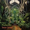 Profesion - Sean Shibe