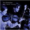 Trio Echnaton - Reger, Schnittke, Martinu - Trios for Strings