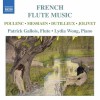 French Flute Music - Gallois, Wong