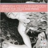 Spanish Cello Rhapsody (E.Klein & S.Melinte)