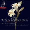 Beloved and Beautiful - Jos van Veldhoven